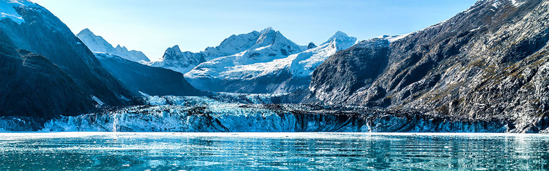 Brown Bears & King Salmon